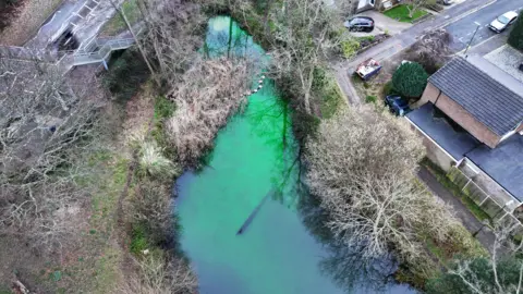 Eddie Mitchell A large pool of water with a bright fluorescent green colour surrounded by trees, grasses and houses.