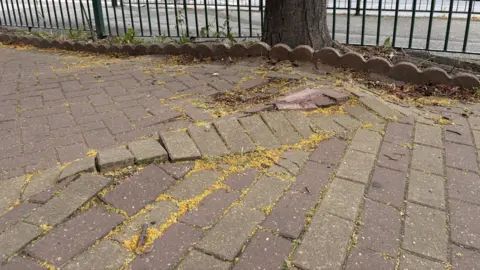 Pushed up paving