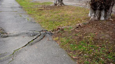 Getty Images Cracked pathway