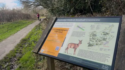 Hannah Roe/BBC A sign for Tunbridge Wells and Rusthall Commons. The sign features a map of the site and outlines what wildlife can be found there. An orange poster stating that the Commons are for sale sits in the left-hand corner. A path with a walker and their dog can be seen to the left.