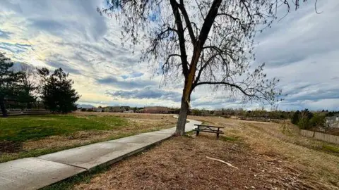 A burned tree near a concrete path surrounded by brown and green grass in a park. There is a picnic table under the tree