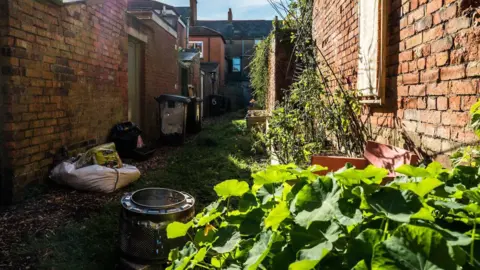 9ft in Common An alleyway that has overgrown weeds, bins and rubbish along the sides. The walls are traditional red brick.