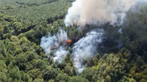 Dan Jessup Smoke billowing from a woodland.