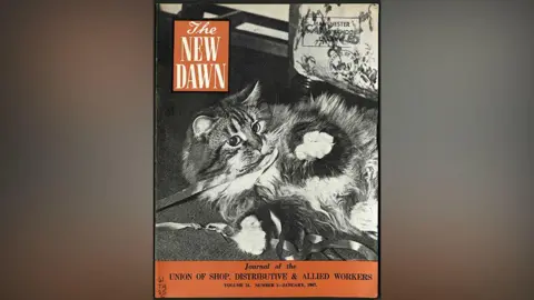 Modern Records Centre, University of Warwick Front cover of The New Dawn magazine, journal of the Union of Shop, Distributive and Allied Workers showing a long-haired cat sprawling on the floor playing with a long ribbon.