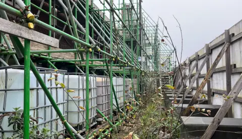 George Carden/BBC Behind the wall shows overgrowing plants, tanks of water to weigh the scaffolding down and rows of scaffolding rising up