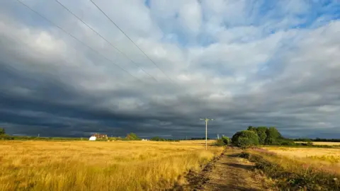 Figaro A country path through a yellow field. There is a telephone to the left of the path with lines running overhead. There is a collection of green trees to the right of the path and a house in the distance on the left. In the left corner the sky is grey and cloudy, but as it moves over to the top right the clouds become more sparse with blue skies peeking through.