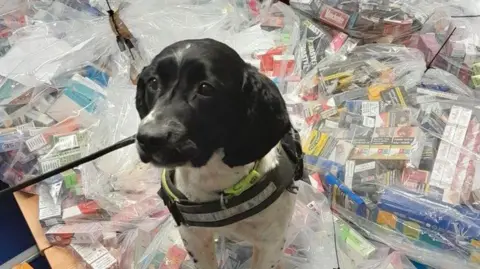 Lincolnshire Police POLICE DOG