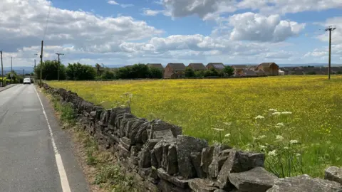 A dry stone wall with a Tarmac road on one side and green filed with yellow buttercup flowers on the other side