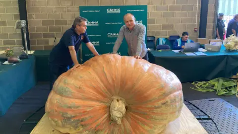 BBC Two men lean against a giant pumpkin which is sat on a wooden board, with another man working at a laptop in the background, sat at a table with a green table cloth over it.