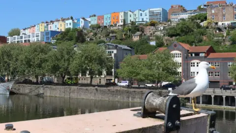 SS Great Britain A seagull perches on a wharf of Bristol Harbour in the sunshine. An old fashioned three-mast ship is visible on the opposite quayside. Rows of multicoloured houses sit on the hillside.