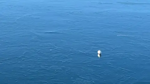 Golf ball on frozen water