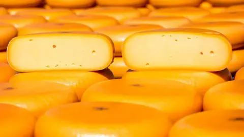 Getty Images A picture of Gouda cheese in the Netherlands 