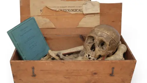 A box with human bones in it, including a skull and a guide to anatomy