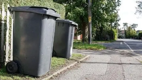 West Berkshire Council Two black bins on a grass verge on a sunny day. There's a fence with a bush over it behind them, and a pavement and a road in front of them.
