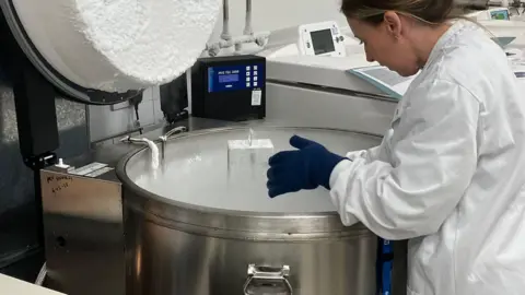 PA Media Scientist opening a freezer storage drum. The haze from the ice can be clearly seen above a steel drum vessel holding the stem cells. The scientist wears gloves and a white coat. research equipment is in the laboratory. 