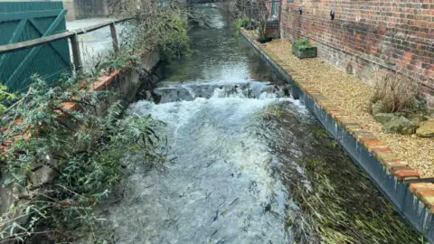 The Beck is quite wide and it has clear water flooding down it, you can see lots of plants and foliage under the water as it's very clear. 