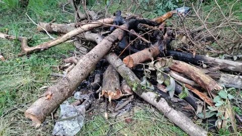 Cumberland Council A pile of logs which are charred from having been set on fire. The logs are large and show signs they have just been cut down. They are lying in a pile on top of grass.