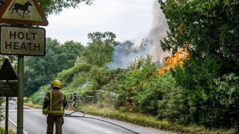 Lewis Johnstone Photography Firefighter standing in a road to the right side orange and red flames can be seen in the trees and white smoke flowing up into the sky seen. There is a sign for Holt Heath and a triangular road sign featuring a horse.
