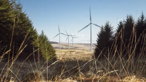 Getty Images Four wind turbines on a rural windfarm viewed through a gap in some pine trees