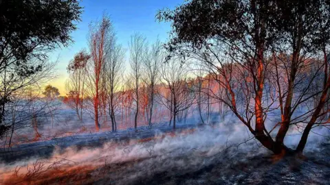 Nottinghamshire Fire & Rescue Service An area of heathland near Mansfield on fire in 2022