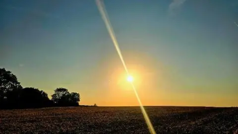 Tammy Solar eclipse from a field