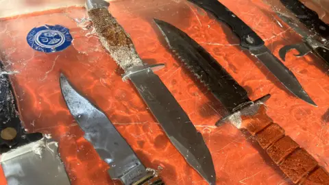 Nanette Aldous/BBC A row of knives set in resin on an orange background