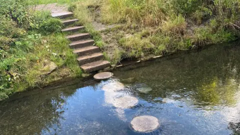 Stepping stones on the Hogsmill River, as well as concrete steps built into the riverbank.