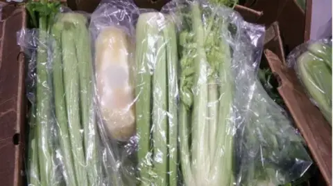 CBP Packages of methamphetamine were hidden among bunches of celery