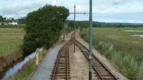 Chris Allen A pair of railway tracks side by side connecting in the middle with a blue pole in-between them. The tracks are surrounded by green, long grassy wetlands and a tree on the left-hand side. The sky is blue with a few clouds dotted around.