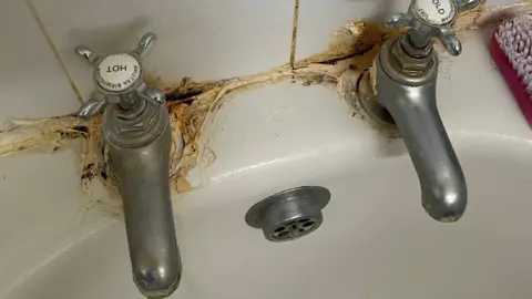 Domonic Bradshaw Taps in a bathtub. They are surrounded with orange grout. 