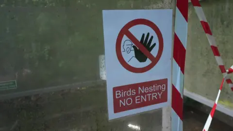 A sign reading "Birds nesting no entry" and a red and white cordon put around the smoking shelter.
