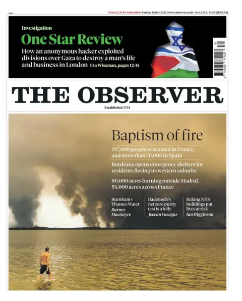 Observer 