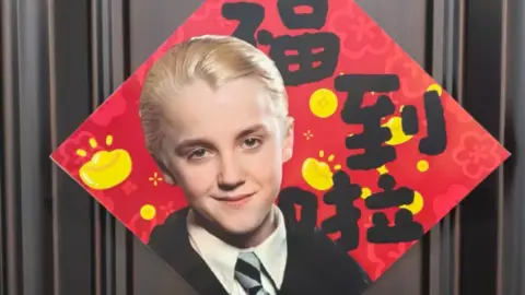 An image of Draco Malfoy themed decorations