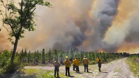 Firefighters with the Georgia Forestry Commission survey the Pineland Road Fire. The firefighters stand in the foreground, wearing yellow jackets and helments. Their backs are to the camera as they watch columns of wildfire smoke, glowing orange, soar hundreds of feet into the air.