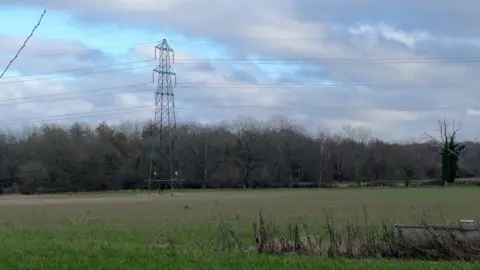 A field which is one of three that were to make up the new solar farm. Standing in the middle is an electricity distribution pylon.