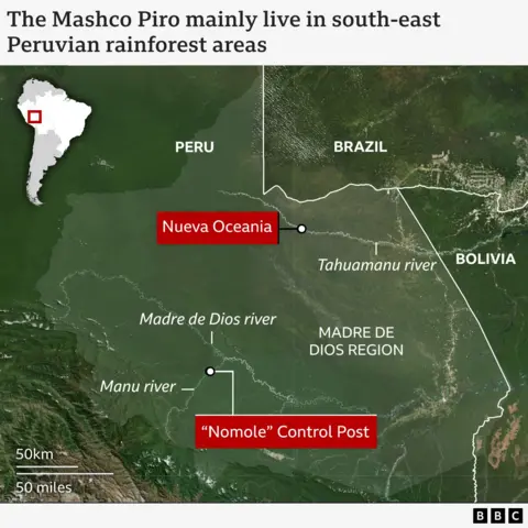 Map showing south-east Peru and surrounding areas of Brazil and Bolivia, highlighting the Madre de Dios region. The map includes rivers labeled Manu, Madre de Dios, and Tahumanu. Two red markers indicate “Nueva Oceania” near the Tahumanu River and “Nomole” Control Post near the Manu River. A small inset map of South America shows the location within Peru. A scale at the bottom left shows 50 km and 50 miles. Text at the top reads: “The Mashco Piro mainly live in south-east Peruvian rainforest areas.” BBC branding is visible at the bottom right.