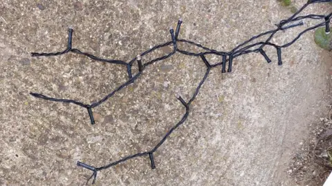 Luke McGann An image of Christmas string lights resting on a concrete floor. The black strings have been cut and separated. 