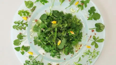 John Rensten A white bowl of green plants that have been foraged and placed on a dish in a circle formation.