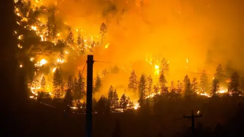 Wildfire burns the forest behind a utility pole.