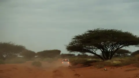 Mohamed Gabobe A van connected  a ungraded  road, driving past   an Acacia tree