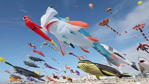 Kites that look like fish in the sky
