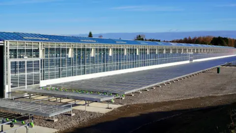 Large glasshouse with sloped roof and panels across the structure. In the background is a blue sky and some trees. The structure is sat in front of mud.