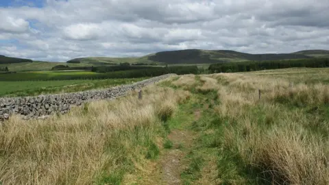 Alan O'Dowd A grassy path alongside a long dry stone dyke through open moorland with hills in the distance, located near Sanquhar