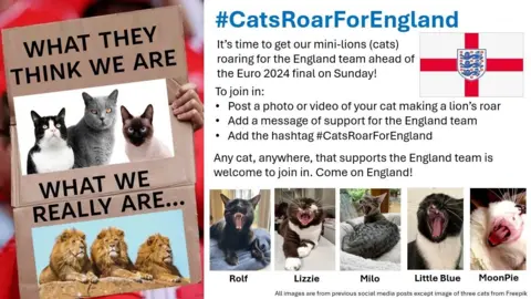 Robb Corrigan Mr Corrigan's social media campaign 