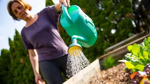 A woman watering plants in a raised bed using a green plastic watering can.