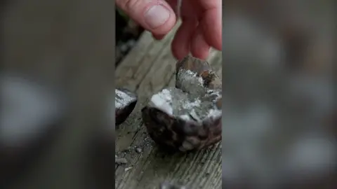 A hand next to a rock