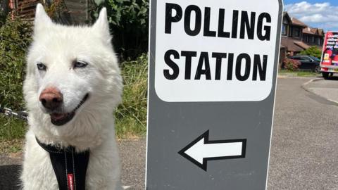 Scarlett the dog by polling station sign in Hawkinge