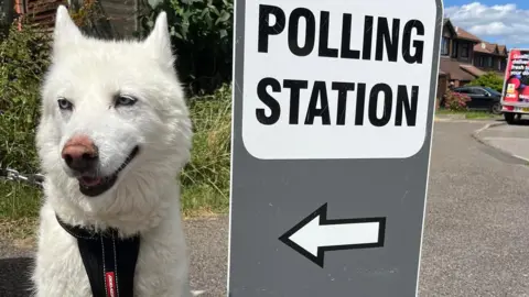 Sarah Dorey Scarlett the dog by polling station sign in Hawkinge