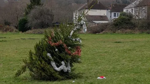 A Christmas tree can be seen in a field. It is leaning to one side suggesting it is close to being blown over or falling on its side. This is suggested by Councillor Giles Davies in the article that this is due to the tree being planted on an incline.