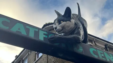 Large fibreglass cat on top of black and green sign reading Catford Centre